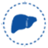 Liver Hospital in Bangalore | Manipal Hospitals
