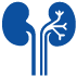 Kidney Transplant