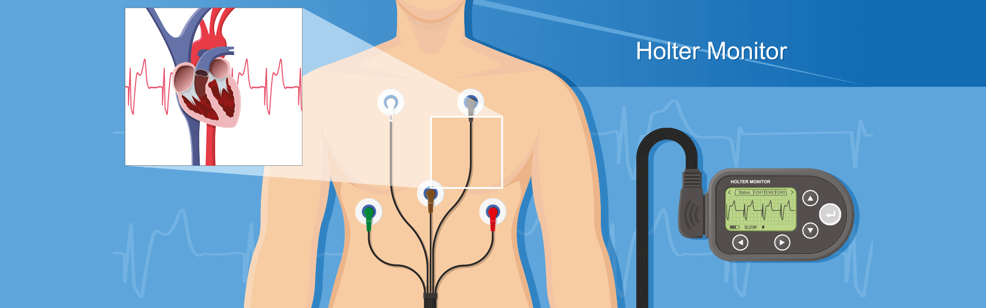 heart specialist in Goa