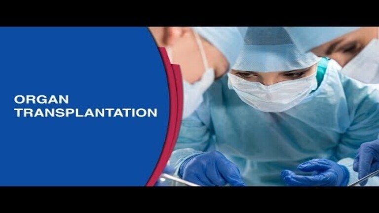 What_are_the_steps_involved_in_a_bone_marrow_transplant.jpg