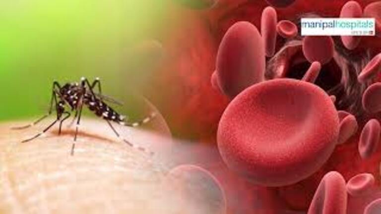 dengue-treatment-in-ghaziabad.jpeg
