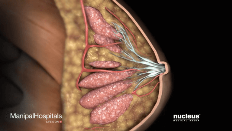 mammography-detects-breast-issues_(1).png